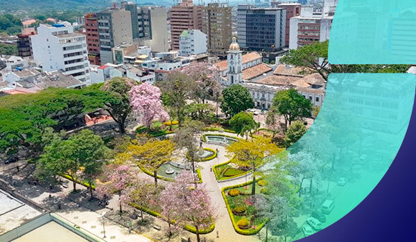 Pico y placa Ibagué Colombia